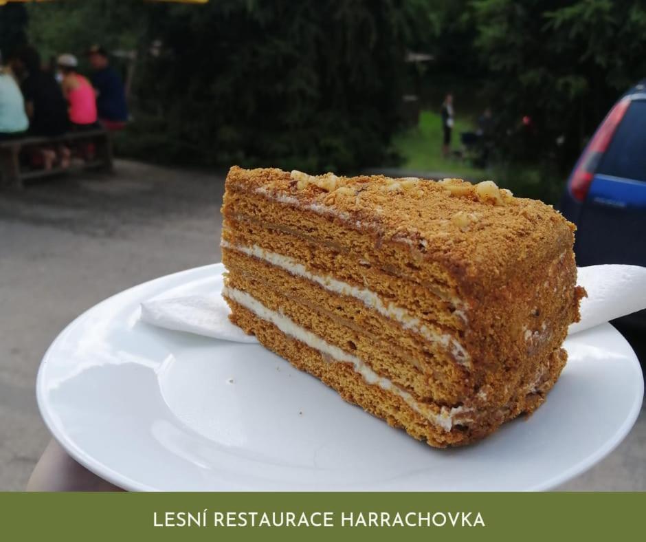 Hotel Lesní Restaurace Harrachovka Tábor Exterior foto